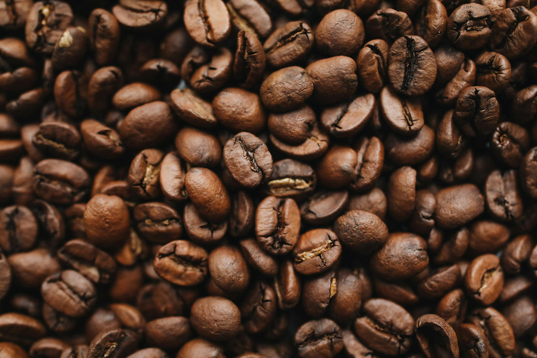 What is the Difference Between Arabica and Robusta Beans?